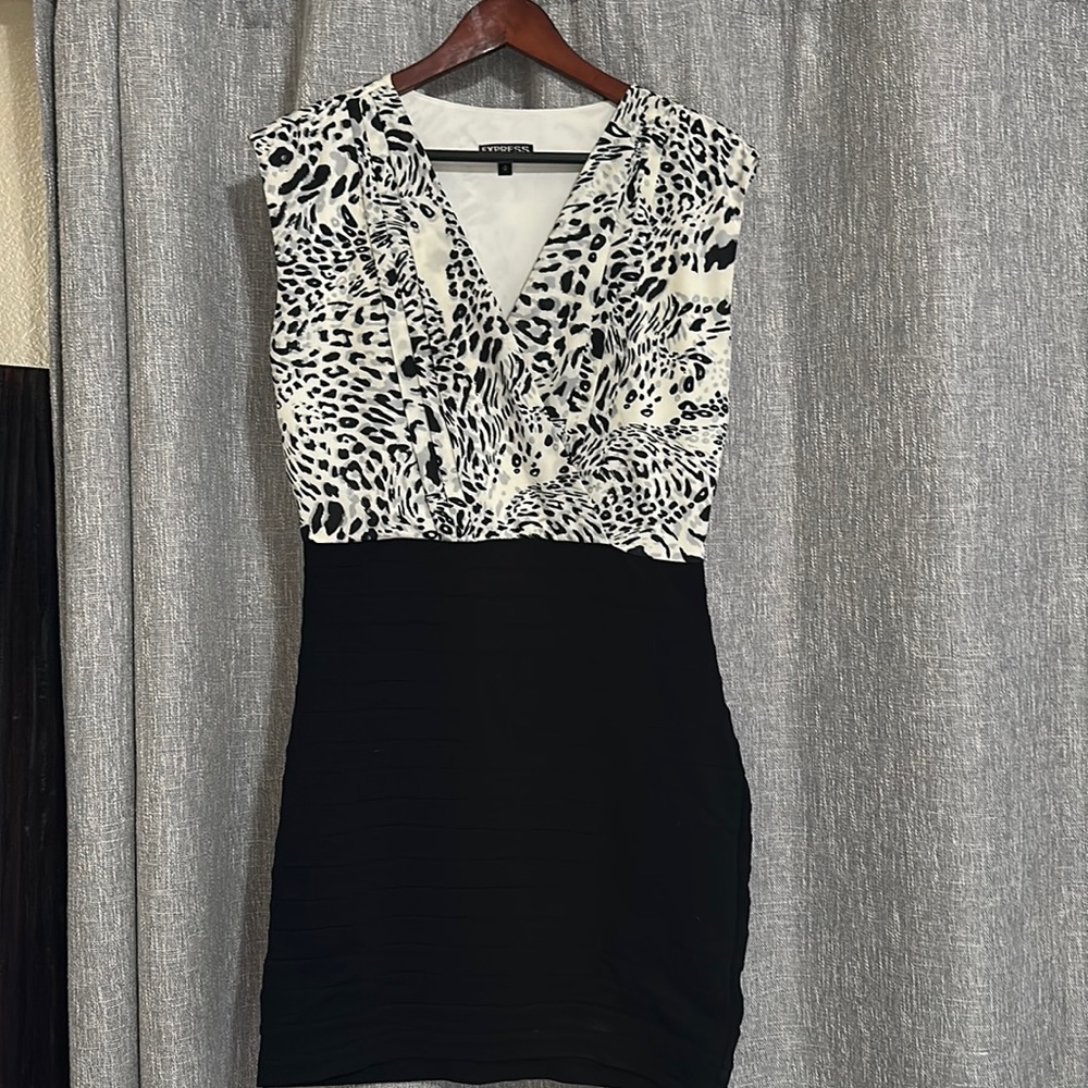 Express Leopard Dress